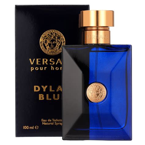 dylan blue versace 3.4|versace dylan blue cost.